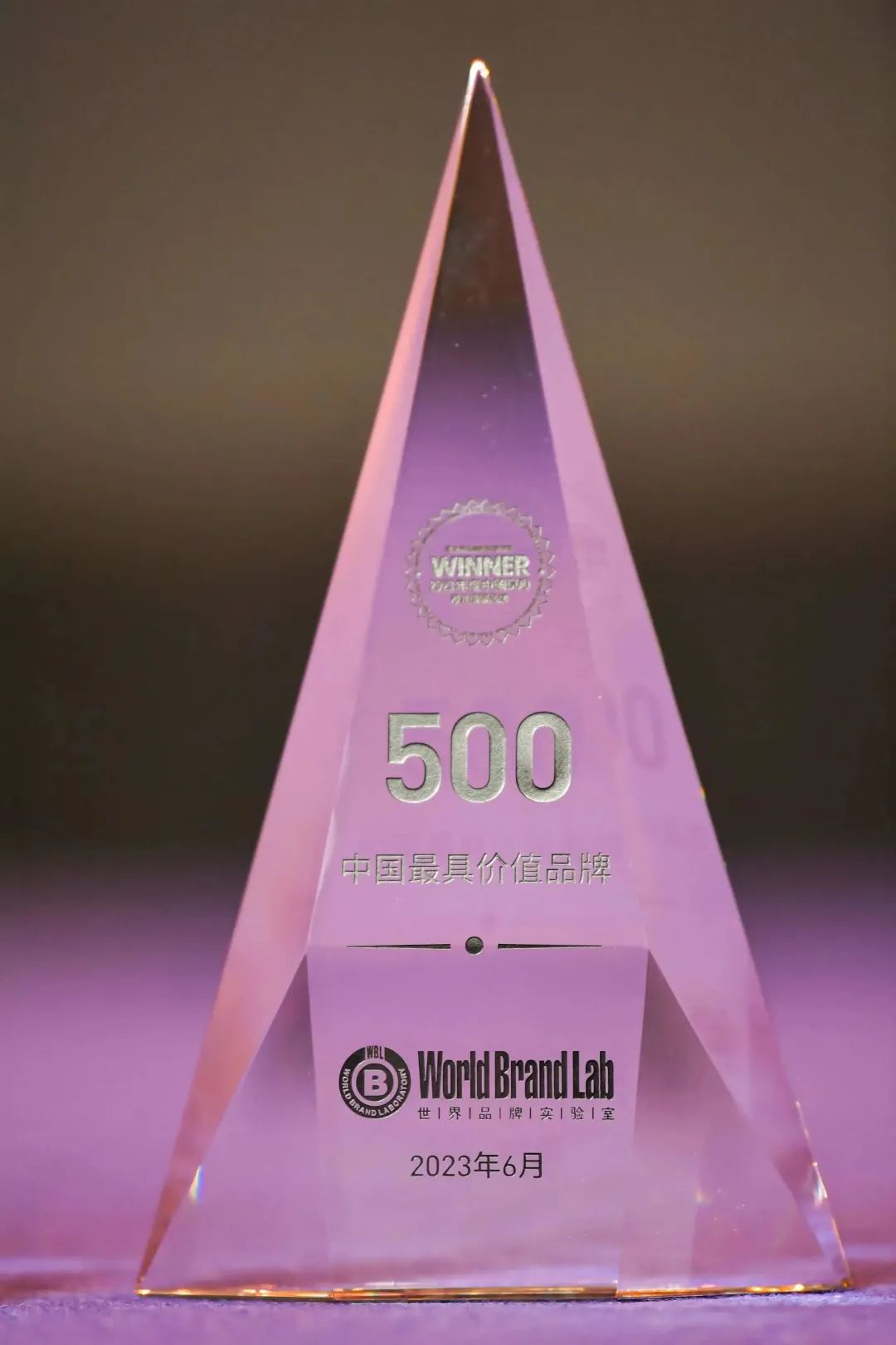 权威认证 金年金字招牌入选中国500最具价值品牌