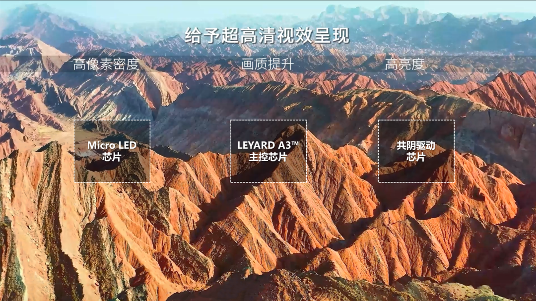 金年金字招牌TX平台