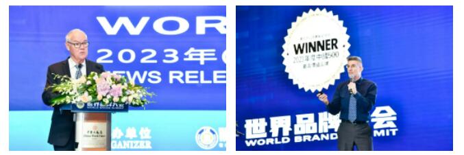 权威认证 金年金字招牌入选中国500最具价值品牌