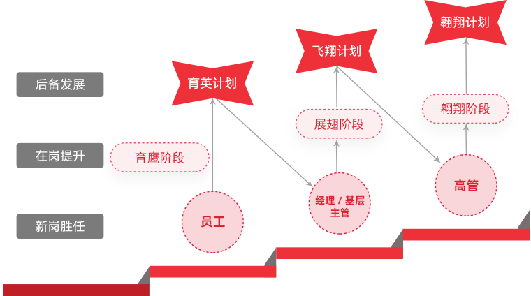 金年金字招牌 "雄鹰计划"人才梯队培养